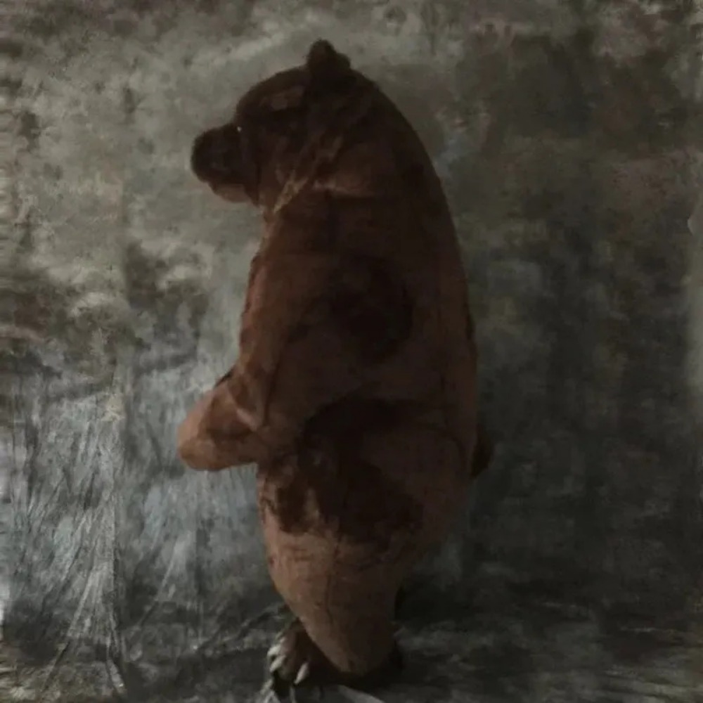 성인용 풍선 곰 인형 의상, 할로윈, 크리스마스 파티용 - Halloween Costume Adult 리뷰 및 가격